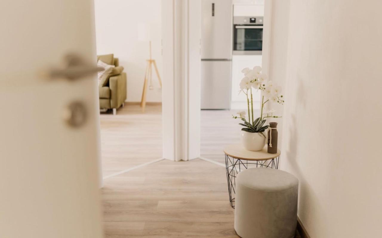 Scheid Apartment